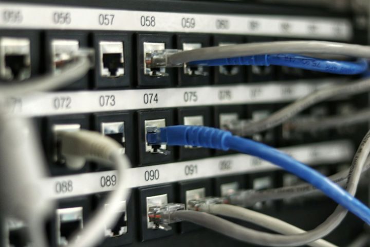 Network - blue UTP cord